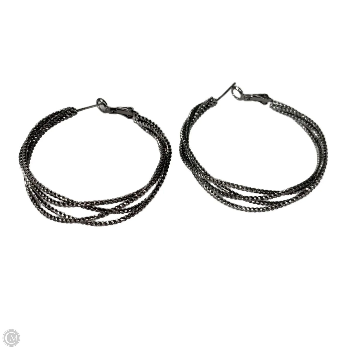 Earrings Hoop