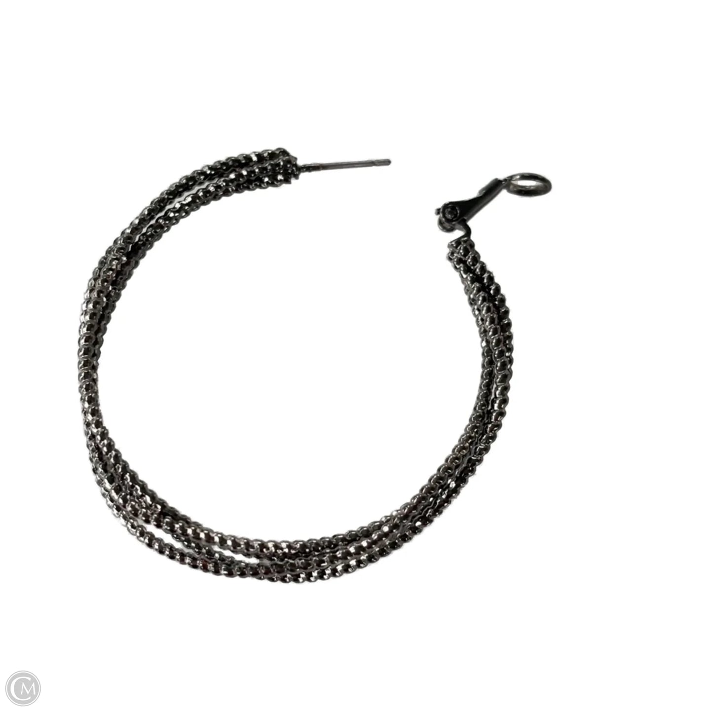 Earrings Hoop
