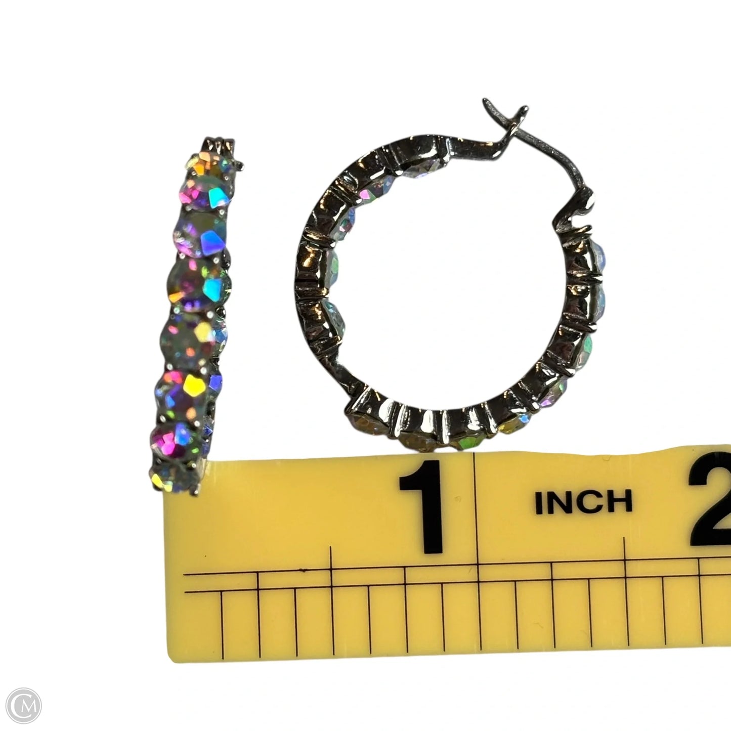 Earrings Hoop