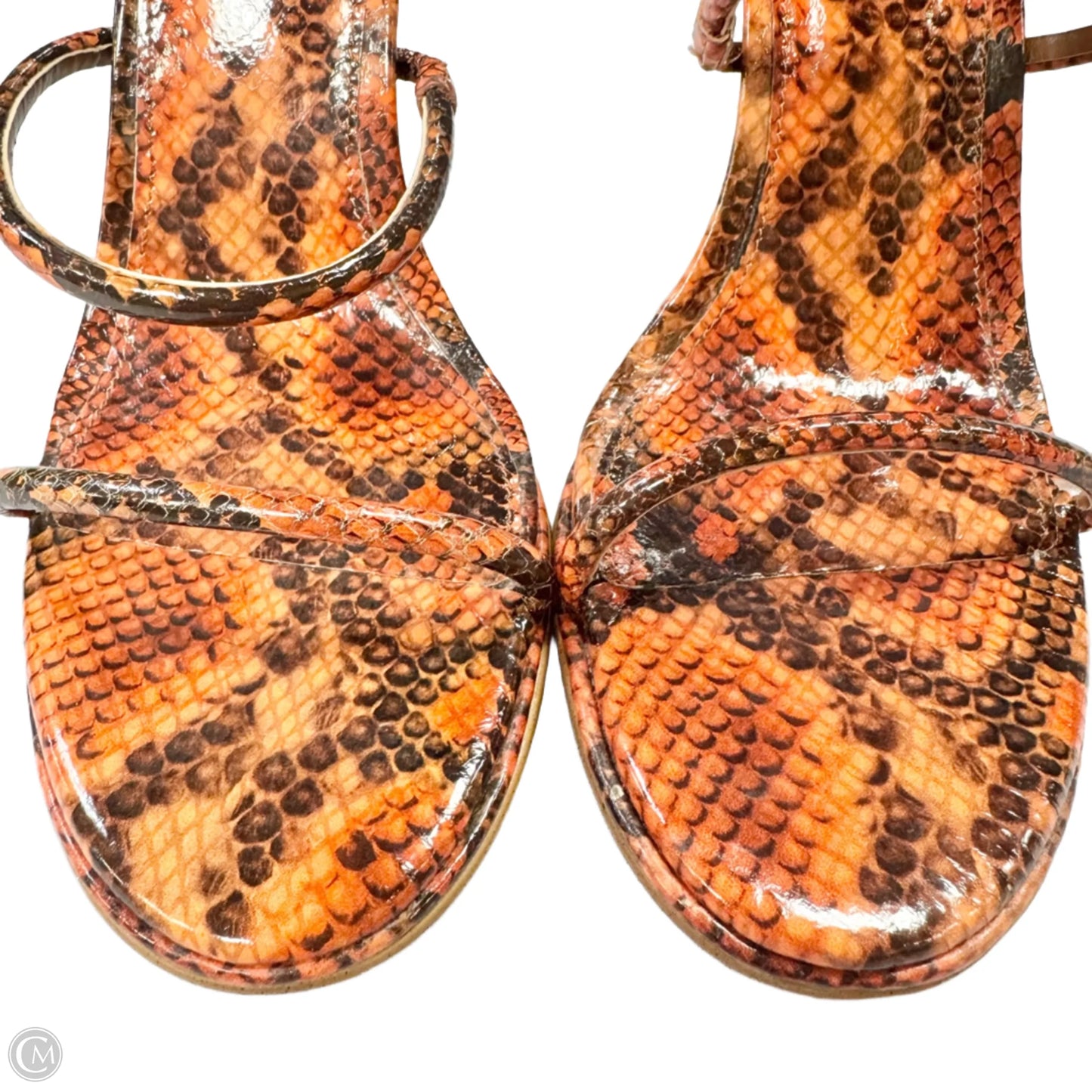 Sandals Heels Stiletto By Steve Madden In Snakeskin Print, Size: 9.5