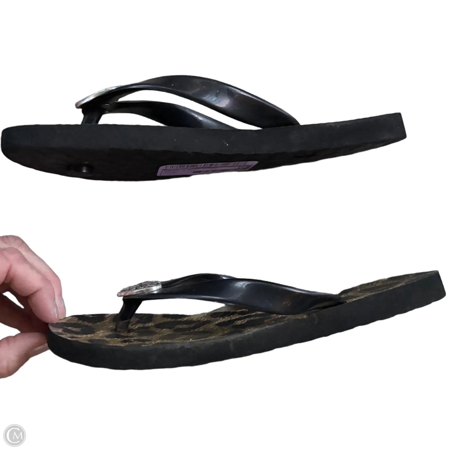 Sandals Flip Flops By Brighton In Animal Print, Size: 5