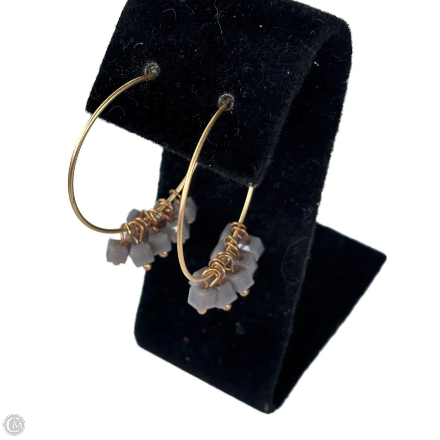 Earrings Hoop