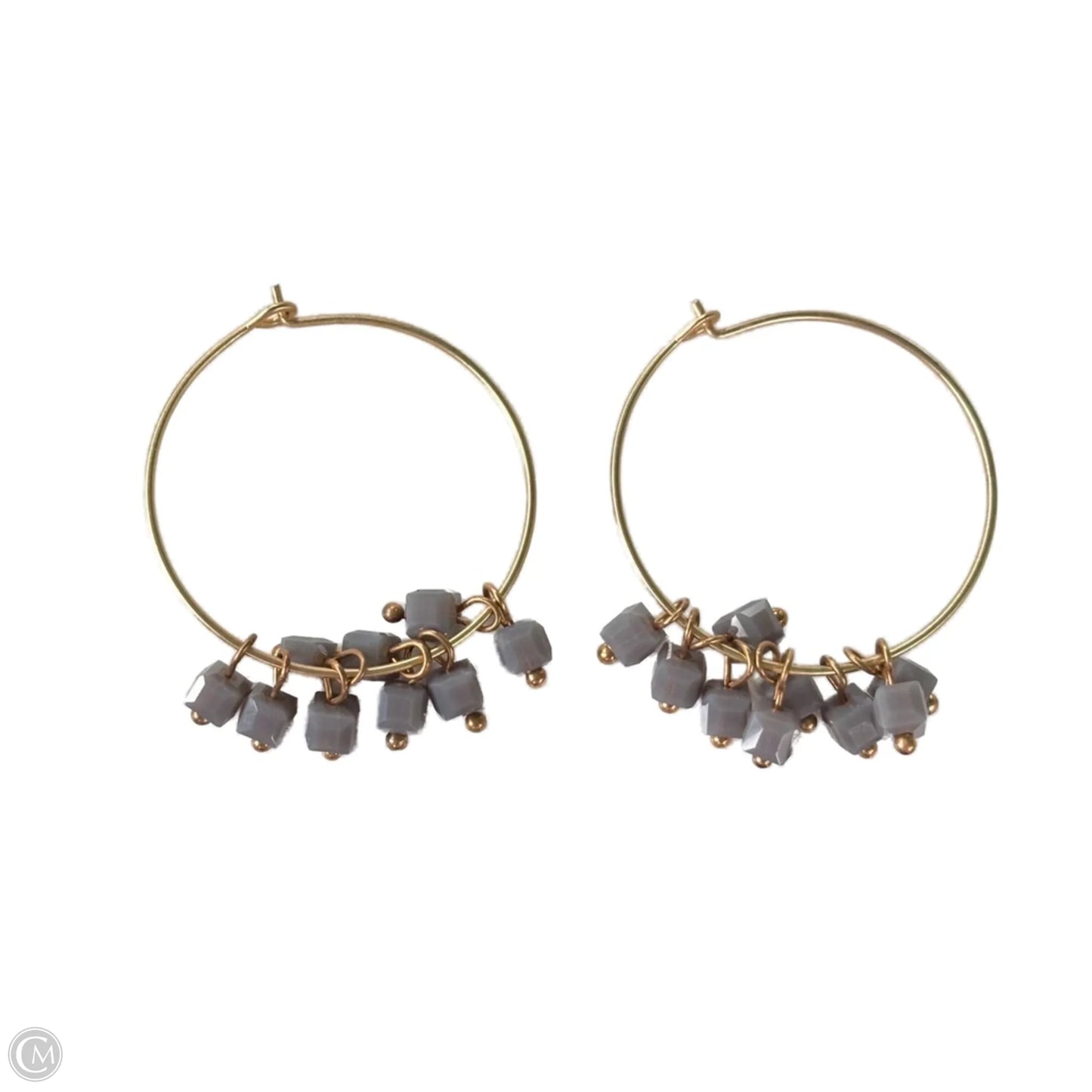 Earrings Hoop