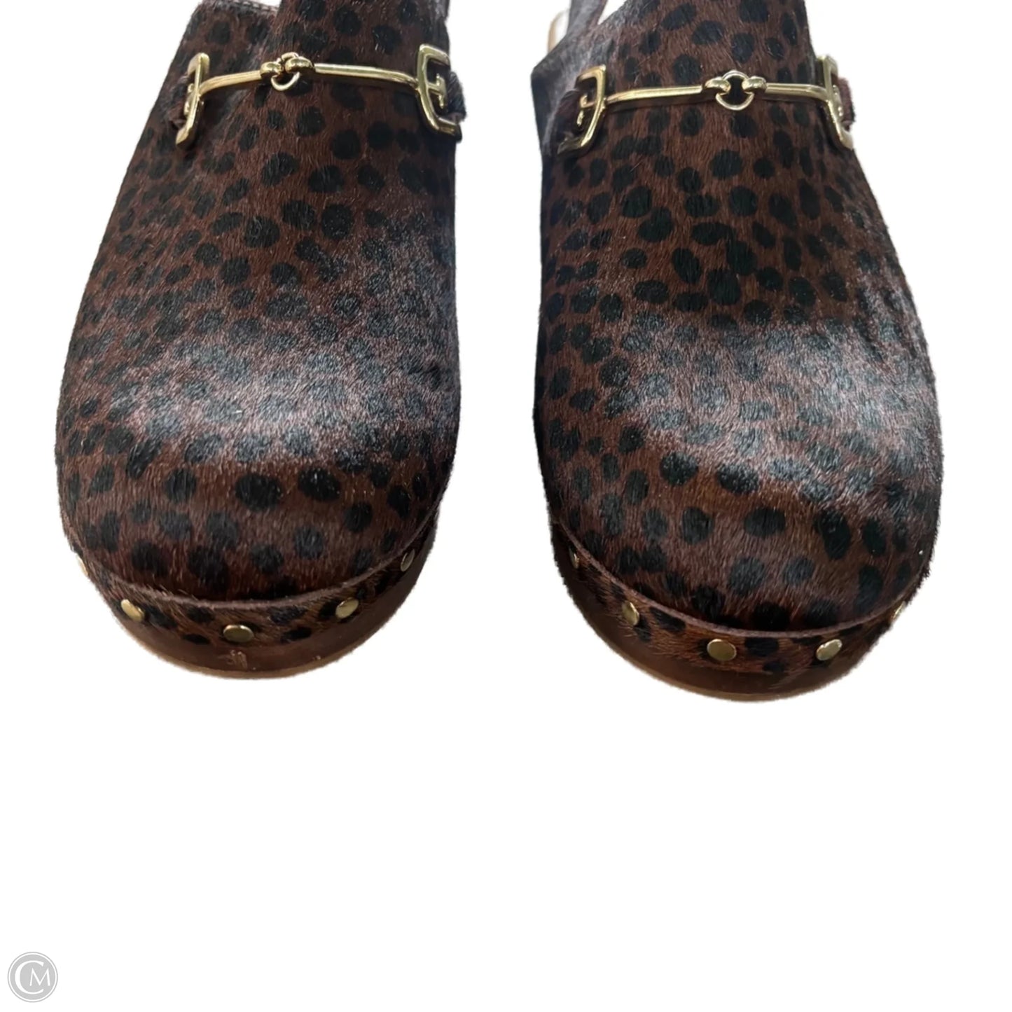 Shoes Flats By Sam Edelman In Animal Print, Size: 7