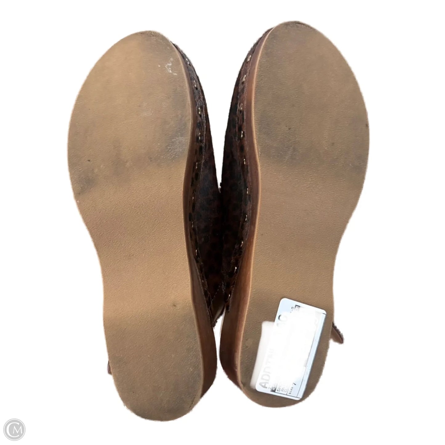 Shoes Flats By Sam Edelman In Animal Print, Size: 7