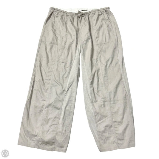 Pants Cargo & Utility By Daily Practice By Anthropologie In Grey, Size: Xl