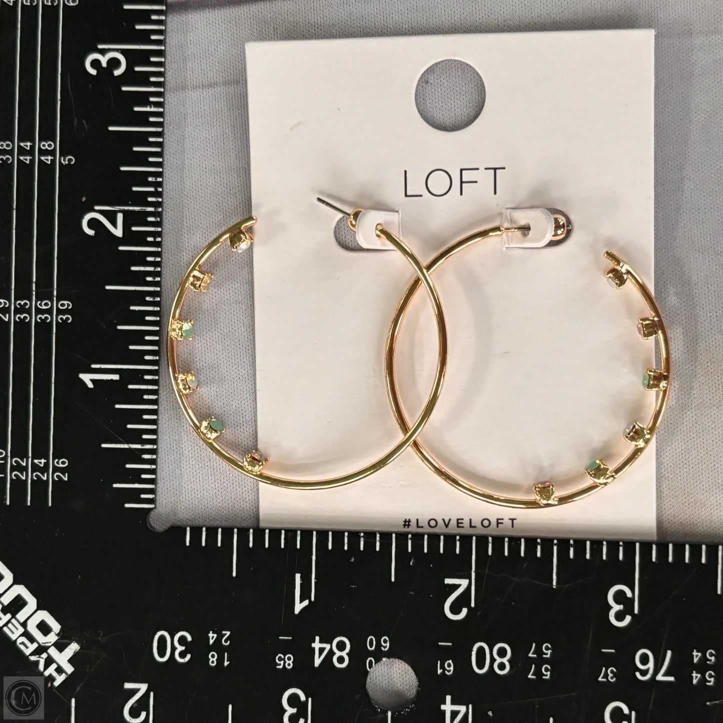 Earrings Hoop By Loft