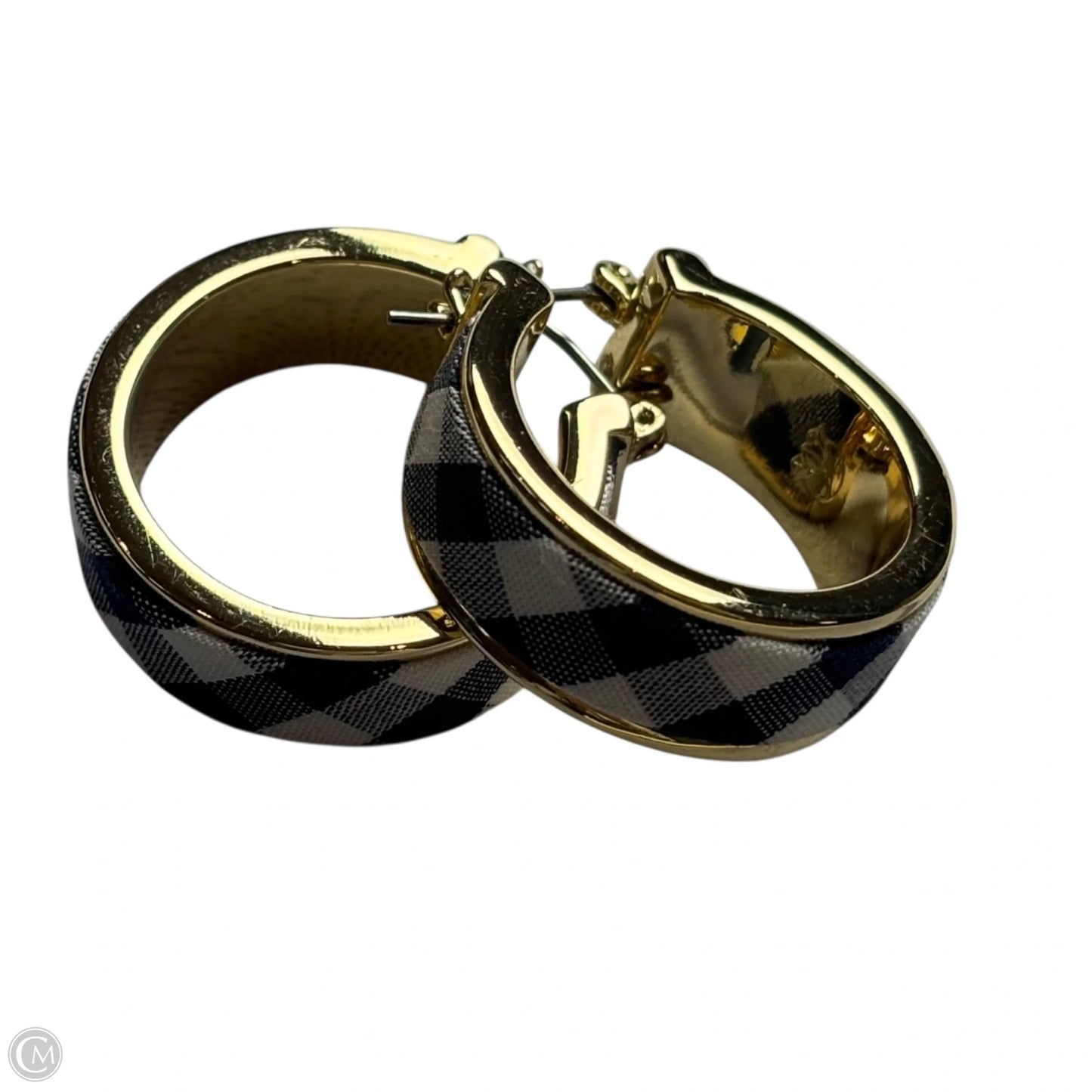 Earrings Hoop