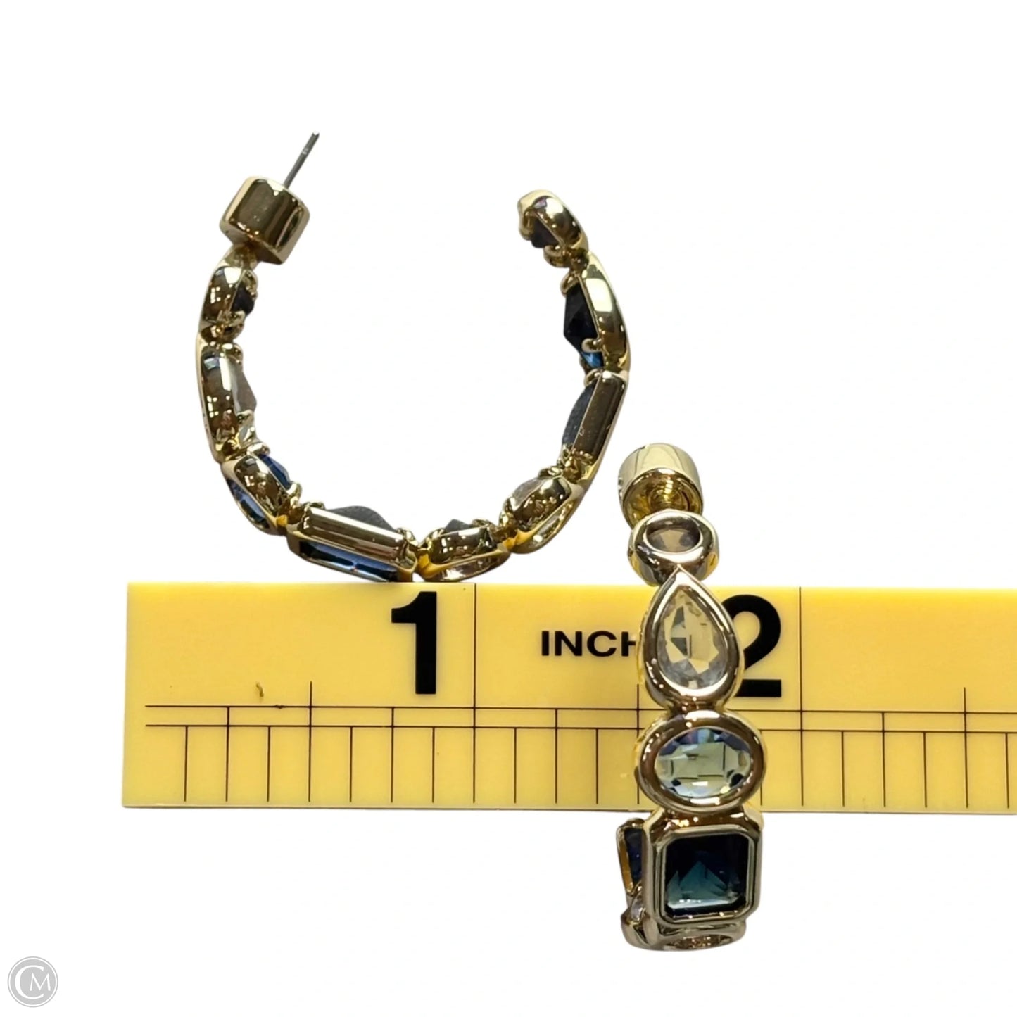 Earrings Hoop