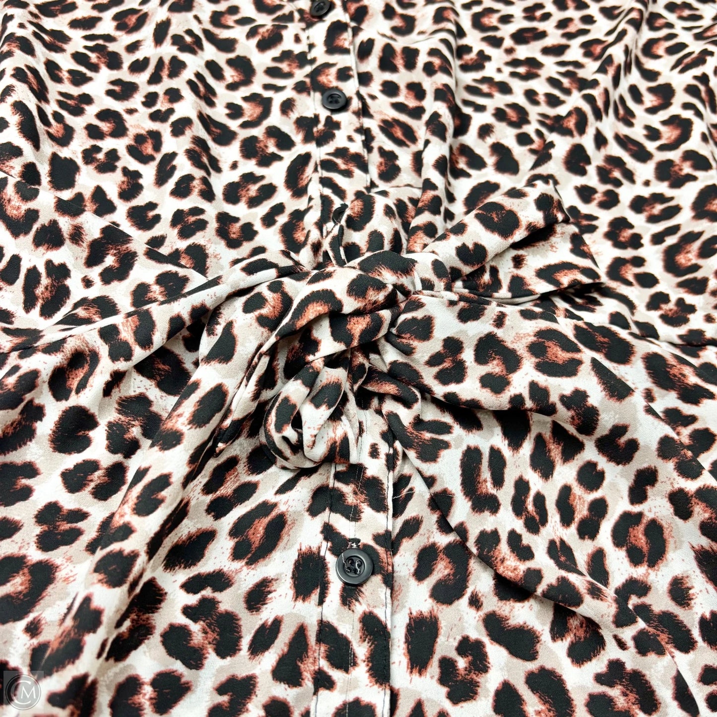 Top Sleeveless By Torrid In Leopard Print, Size: 4x