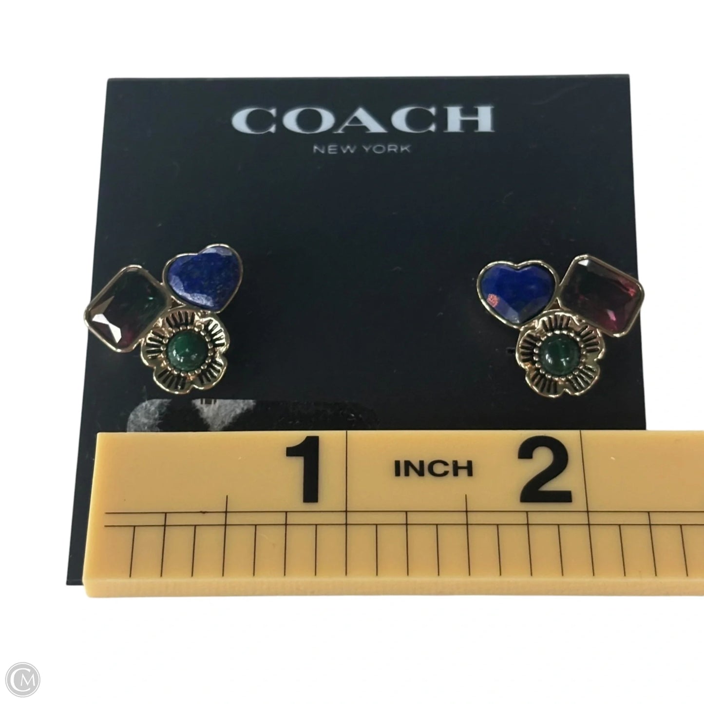 Earrings Designer By Coach