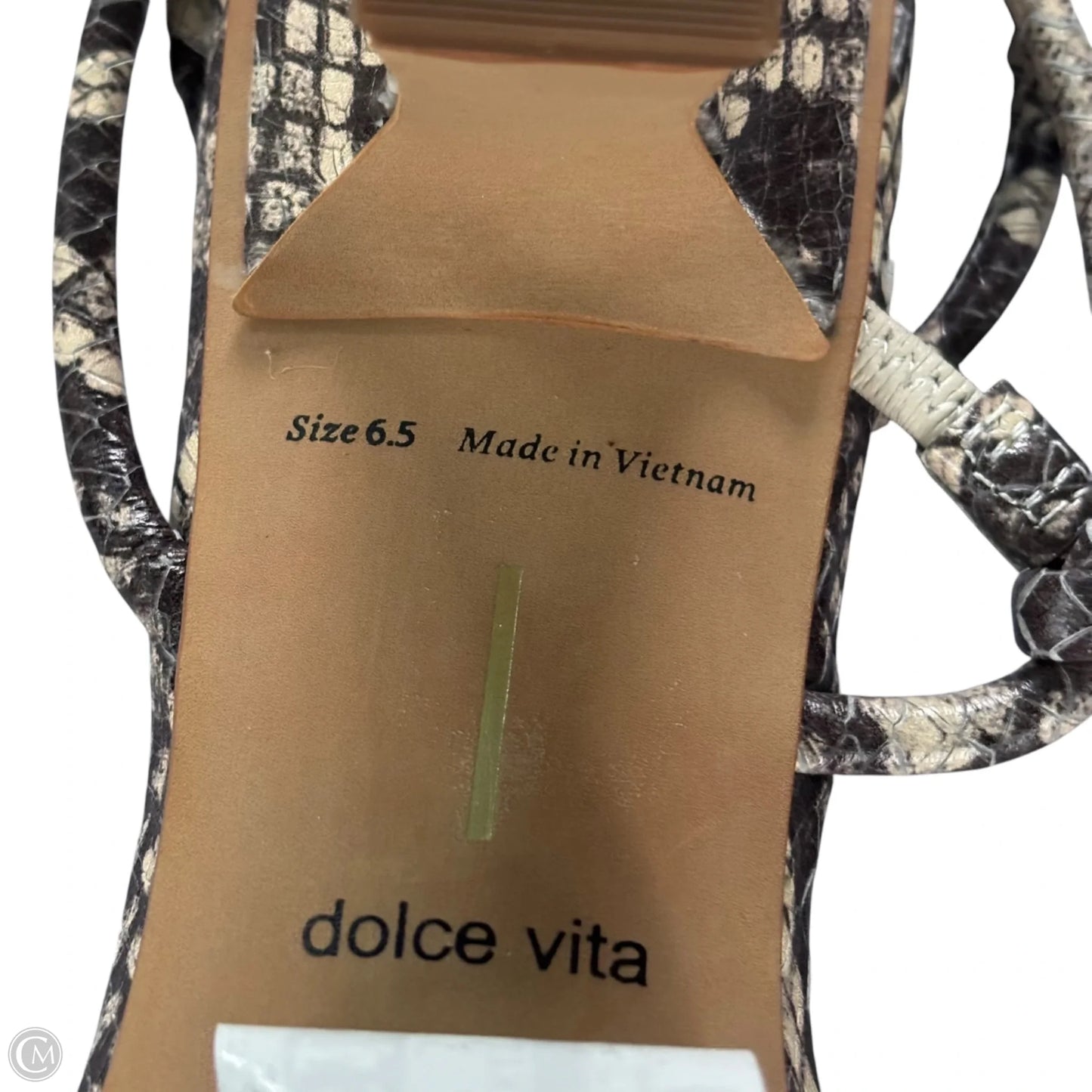 Sandals Heels Kitten By Dolce Vita In Snakeskin Print, Size: 6.5