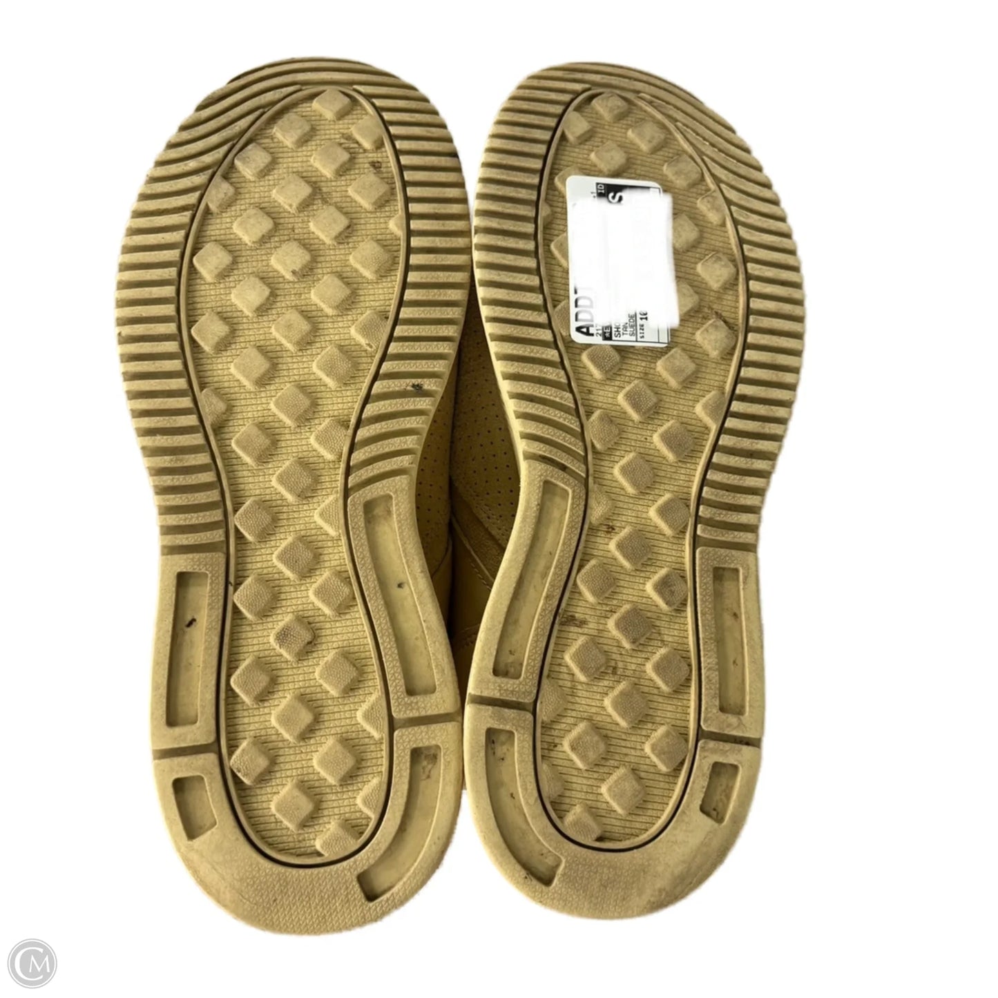 Shoes Sneakers By Everlane In Tan, Size: 10