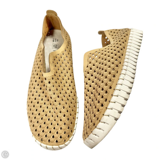 Shoes Sneakers By Project Cloud In Tan, Size: 8
