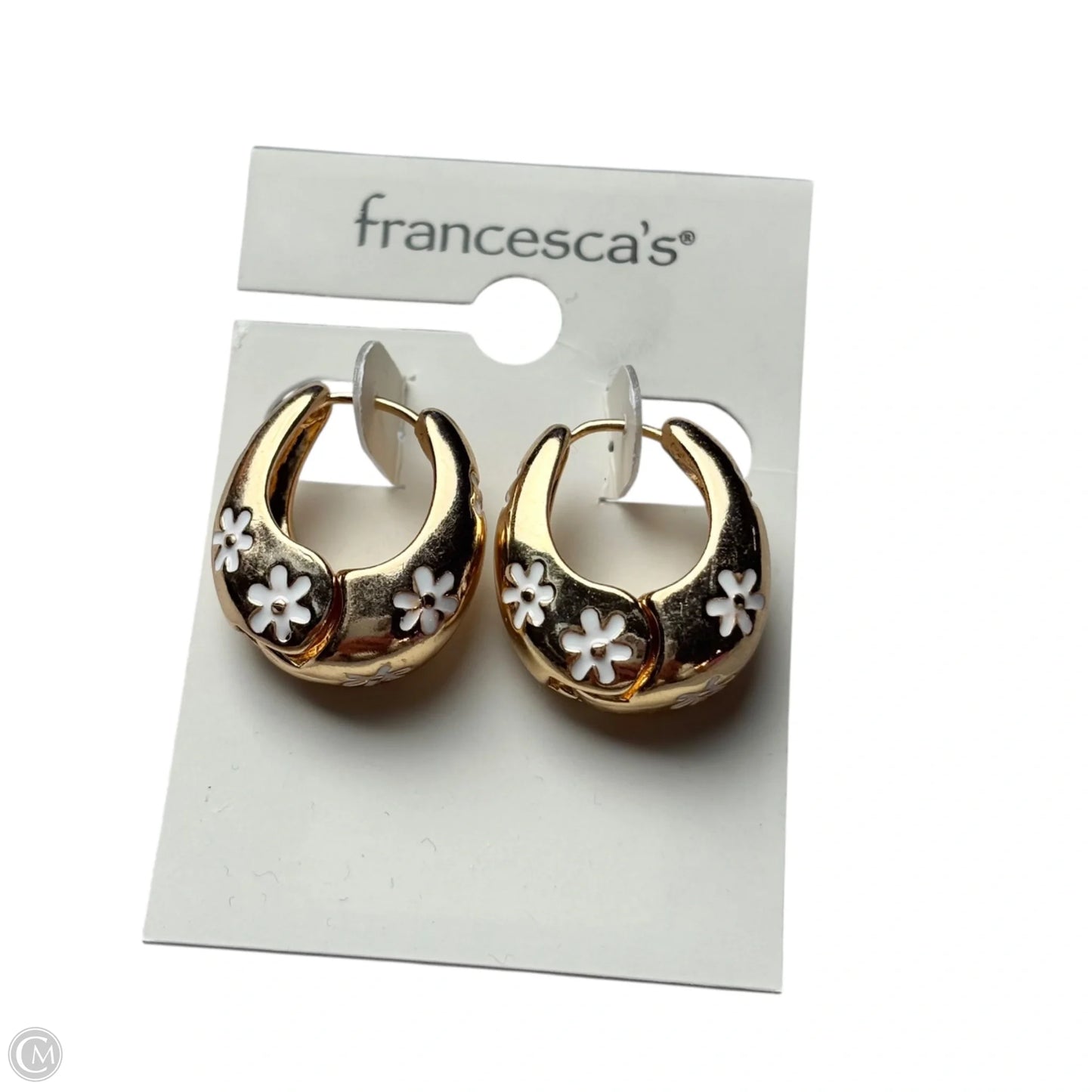 Earrings Hoop By Francesca's