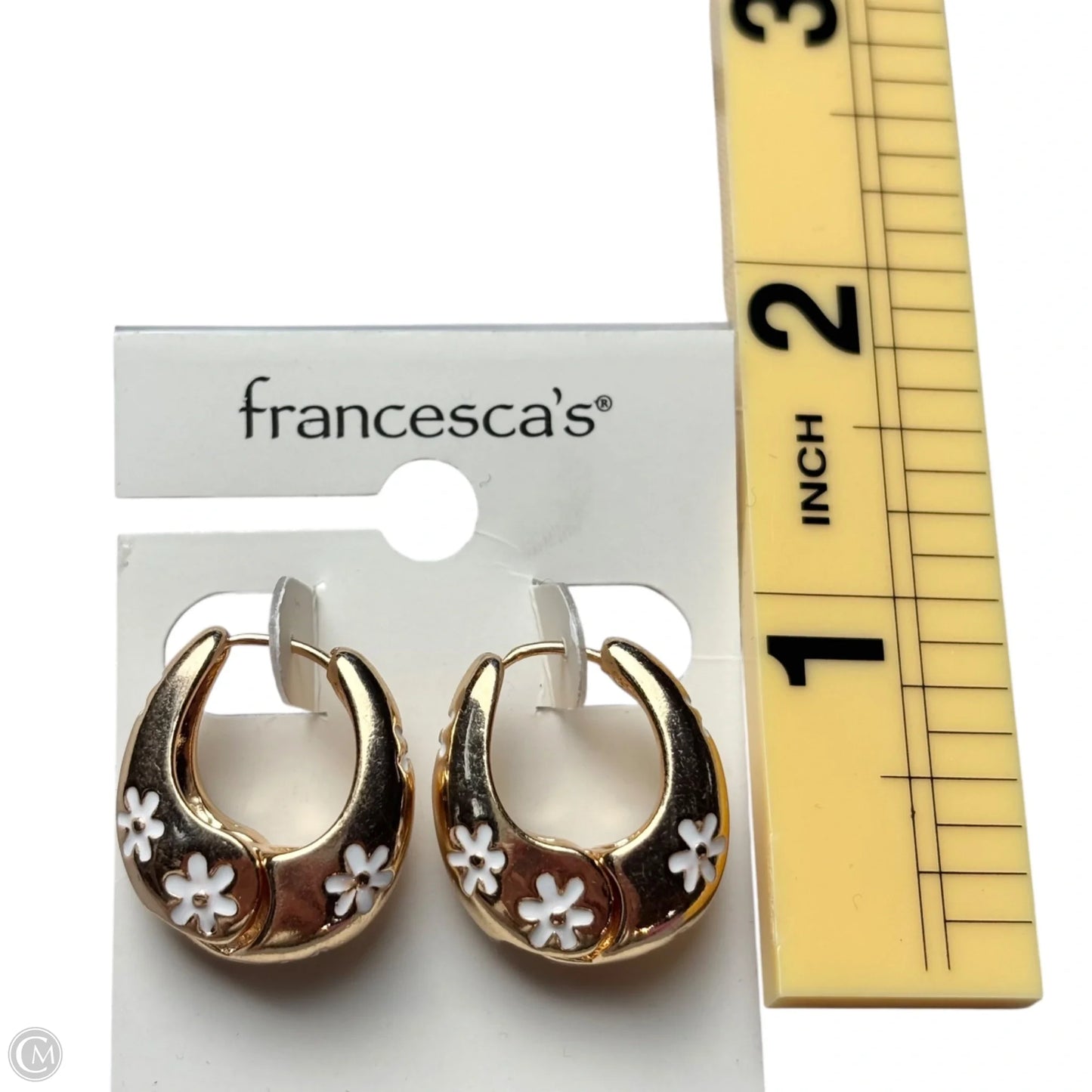 Earrings Hoop By Francesca's