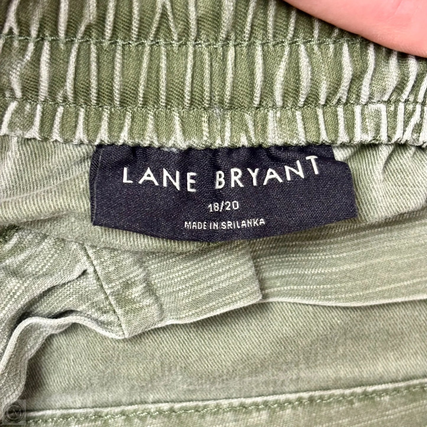 Shorts By Lane Bryant In Green, Size: 18