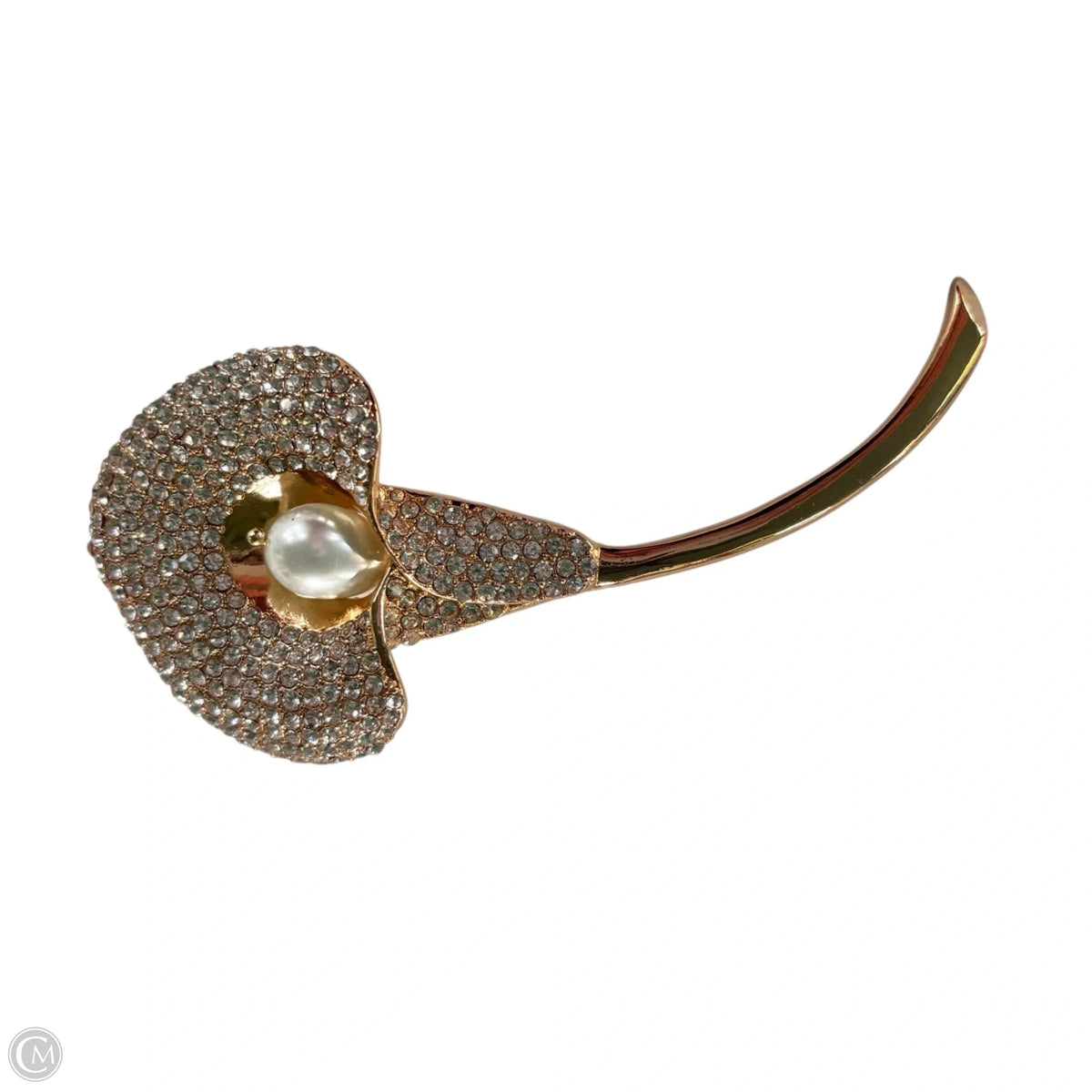 Pin By Chicos