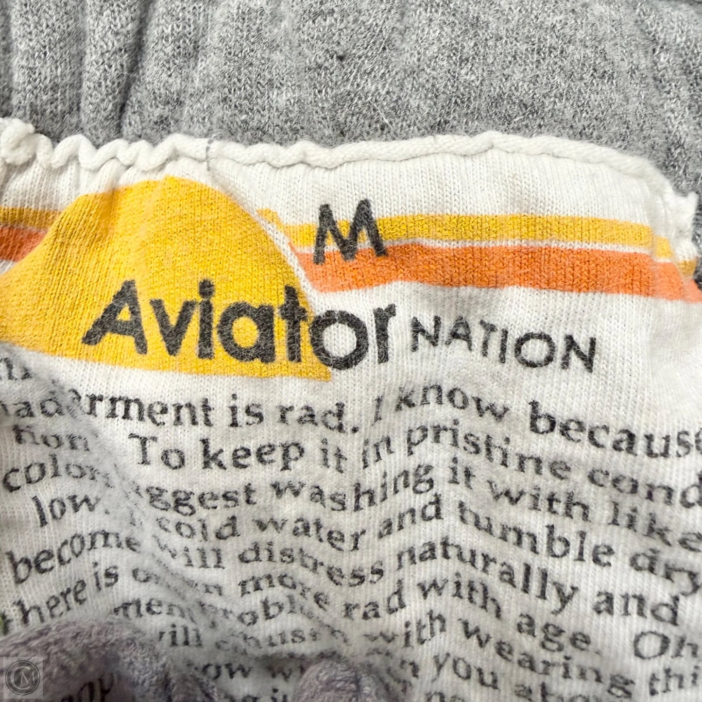 Athletic Pants By Aviator Nation In Grey, Size: M