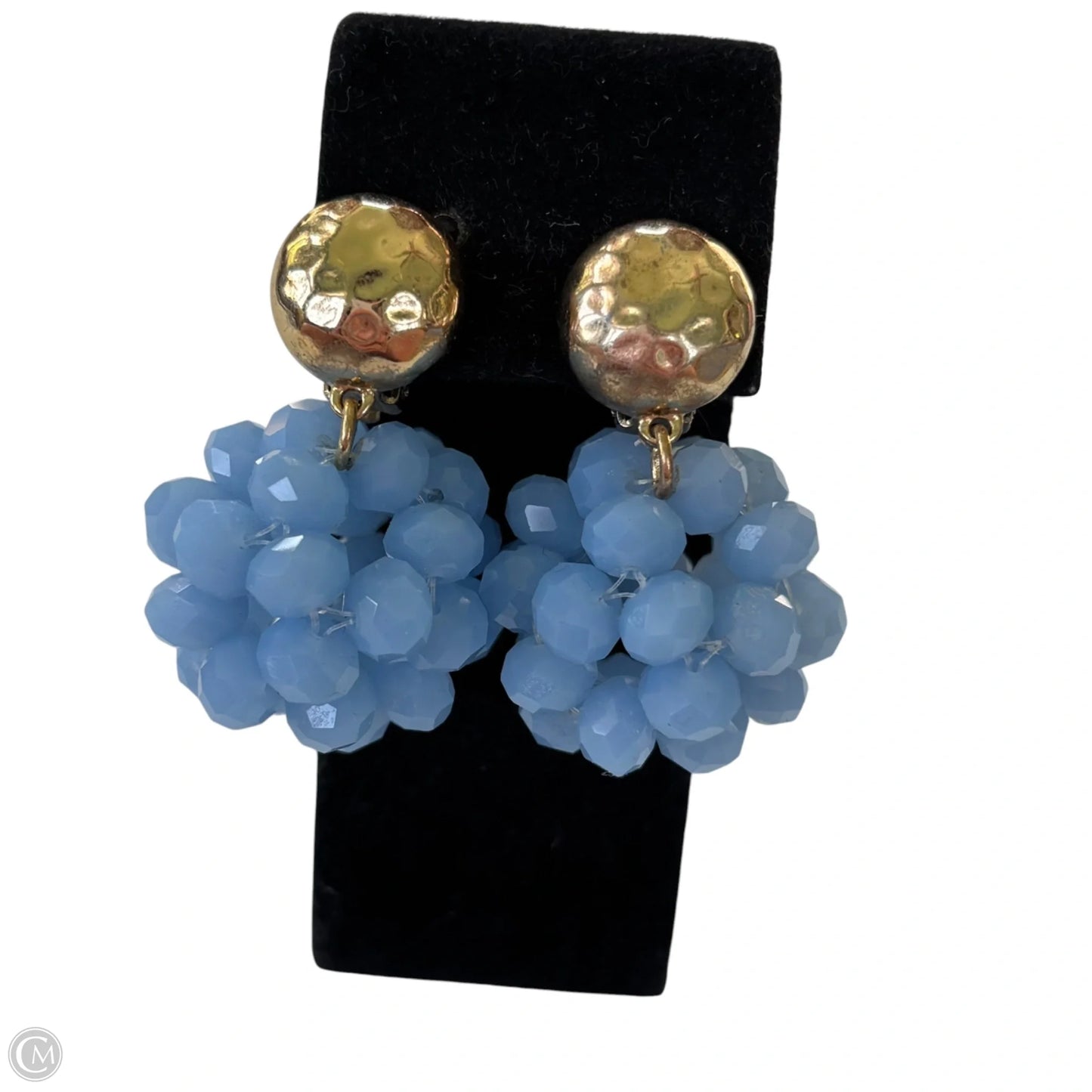 Earrings Clip