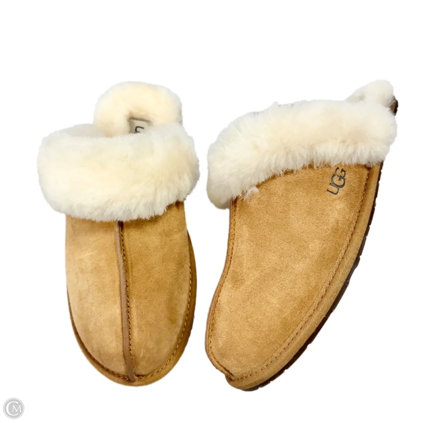 Slippers Designer By Ugg In Brown Size: 8
