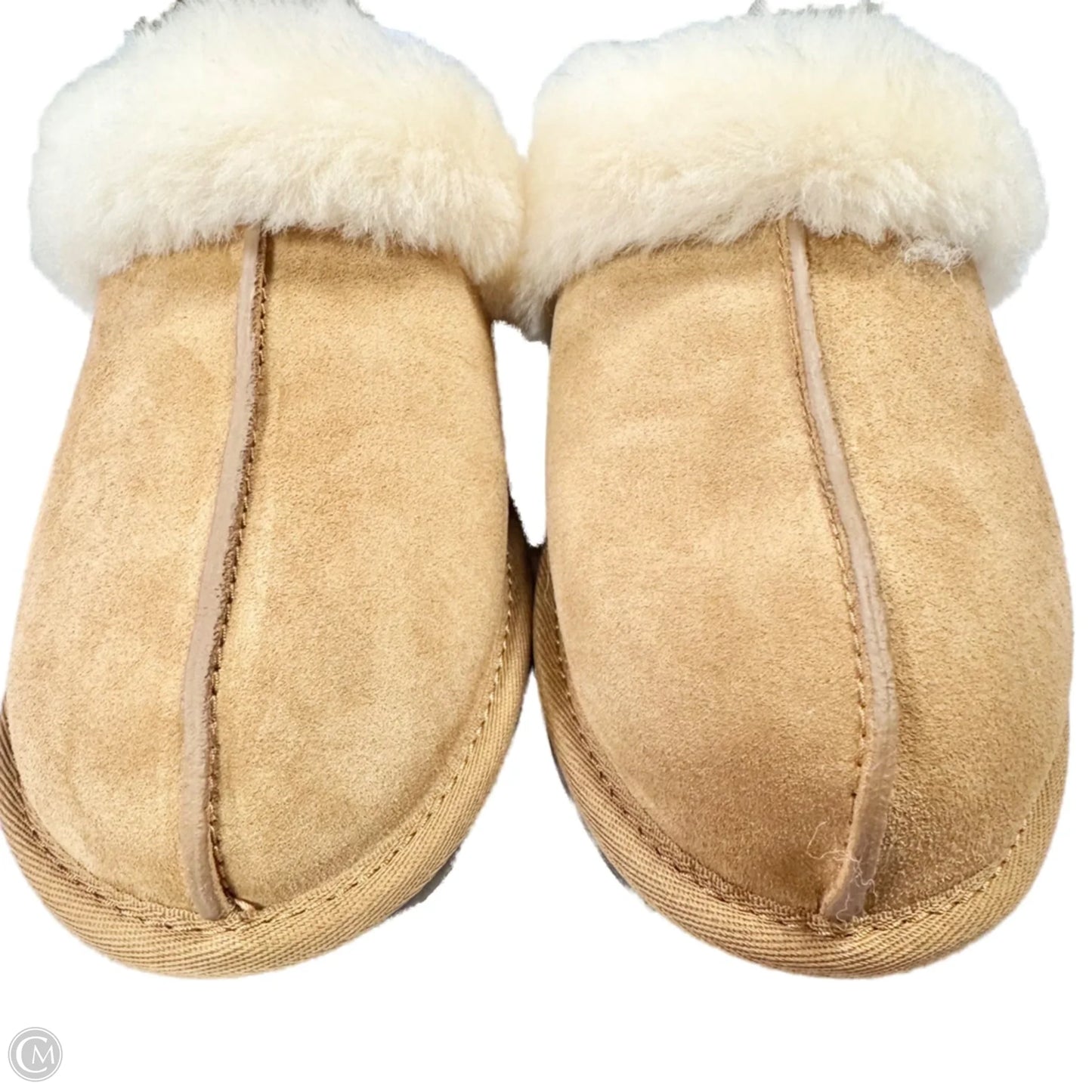 Slippers Designer By Ugg In Brown Size: 8