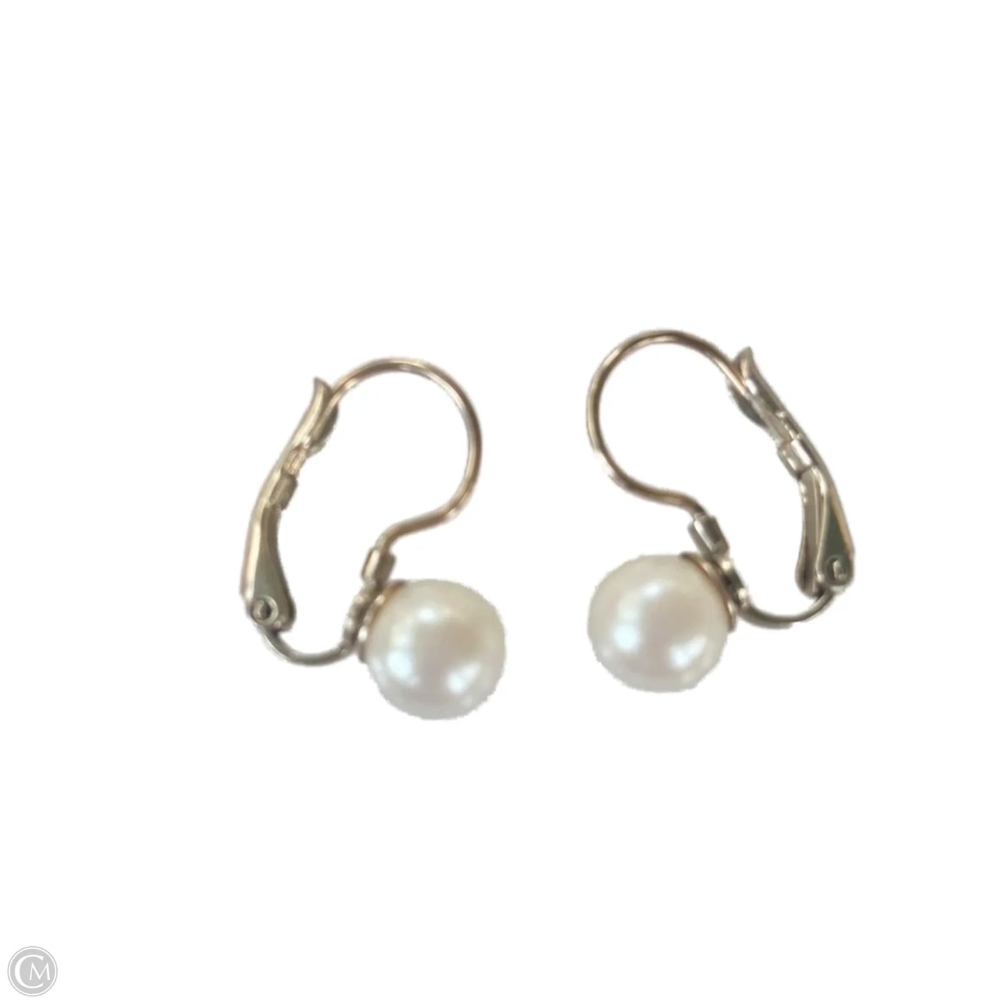 Earrings Dangle/drop