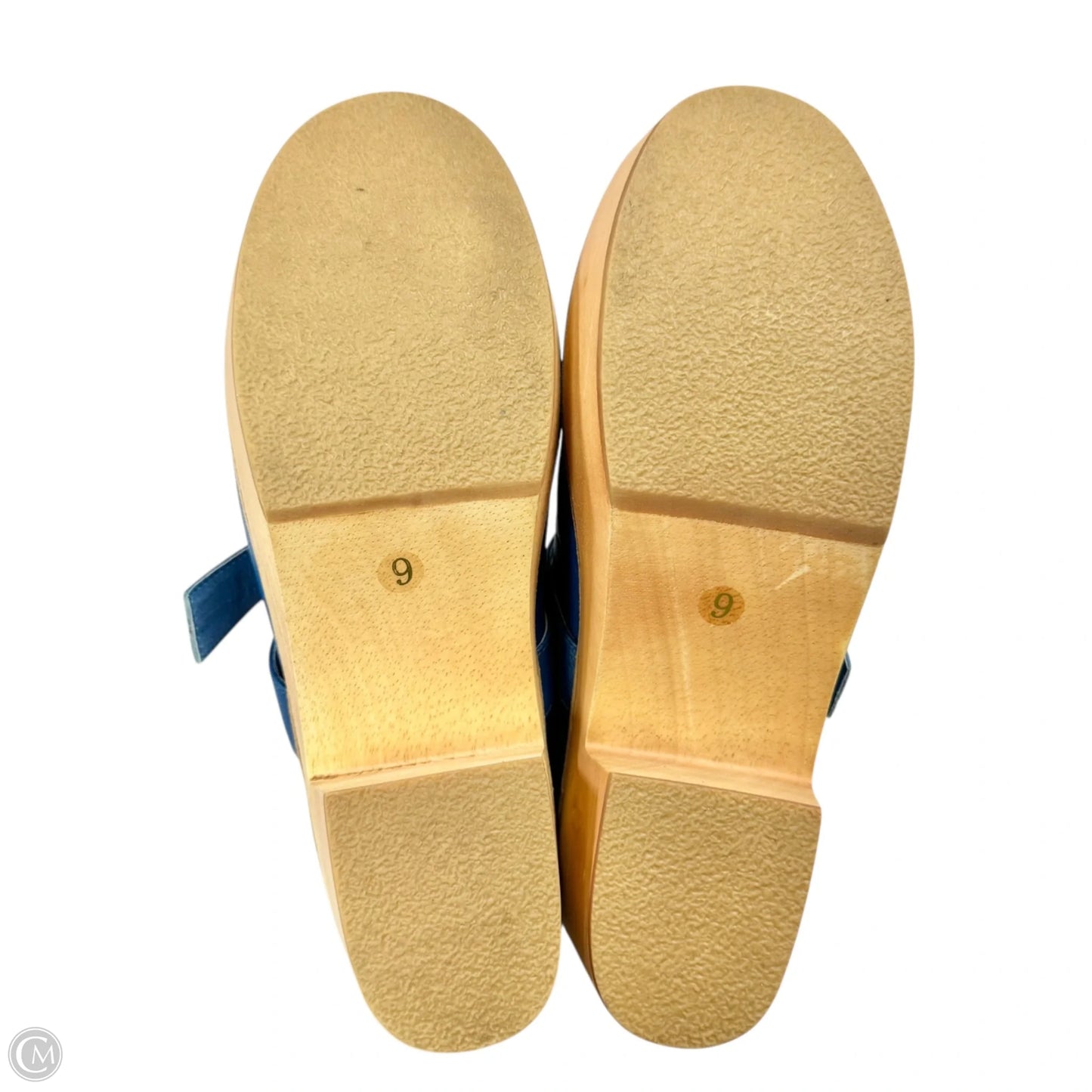Shoes Flats By Charlotte Stone In Blue, Size: 9