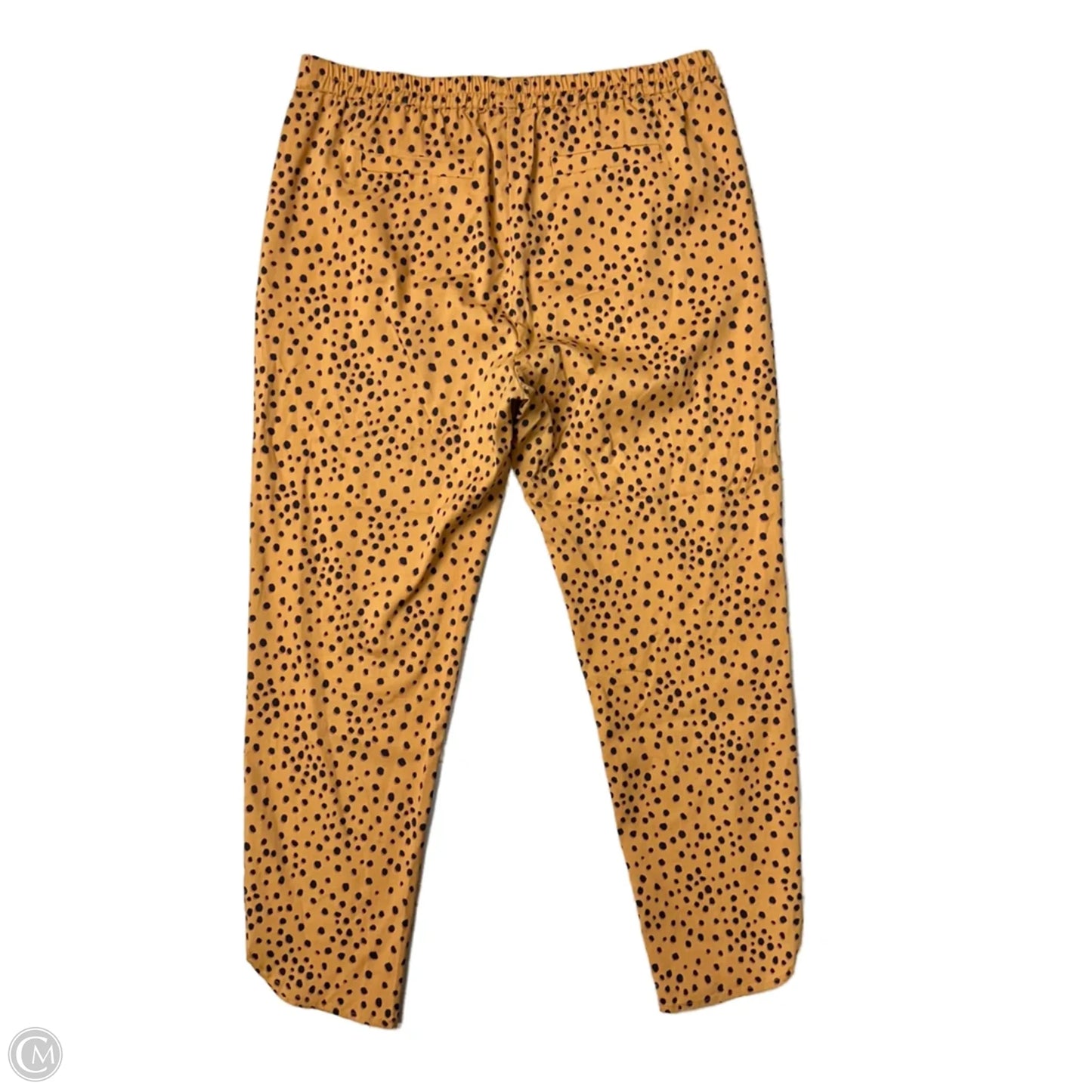 Pants Other By Marine Layer In Animal Print, Size: Xl