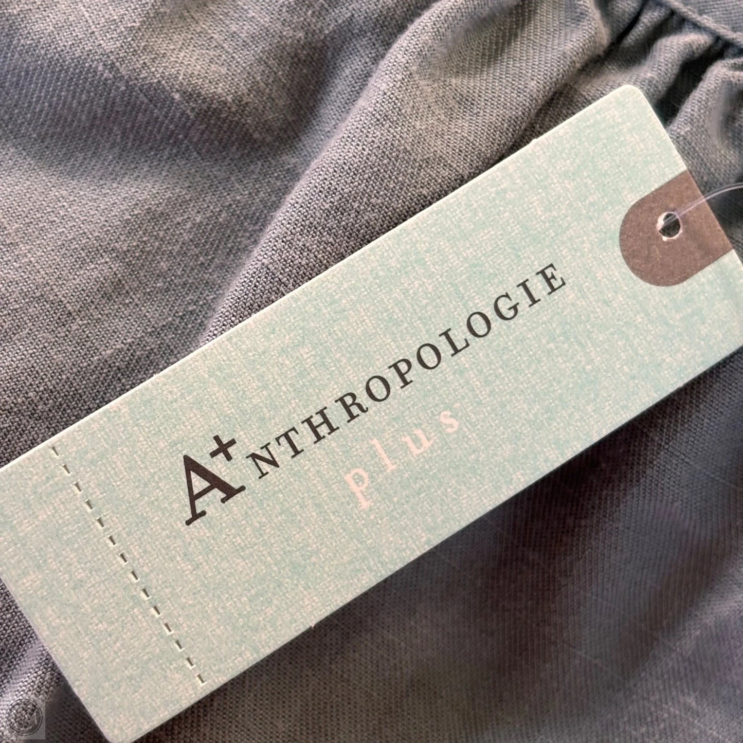 Dress Casual Short By Amadi In Blue, Size: 1x