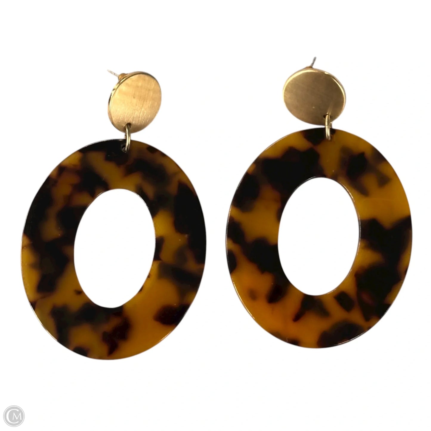 Earrings Dangle/drop