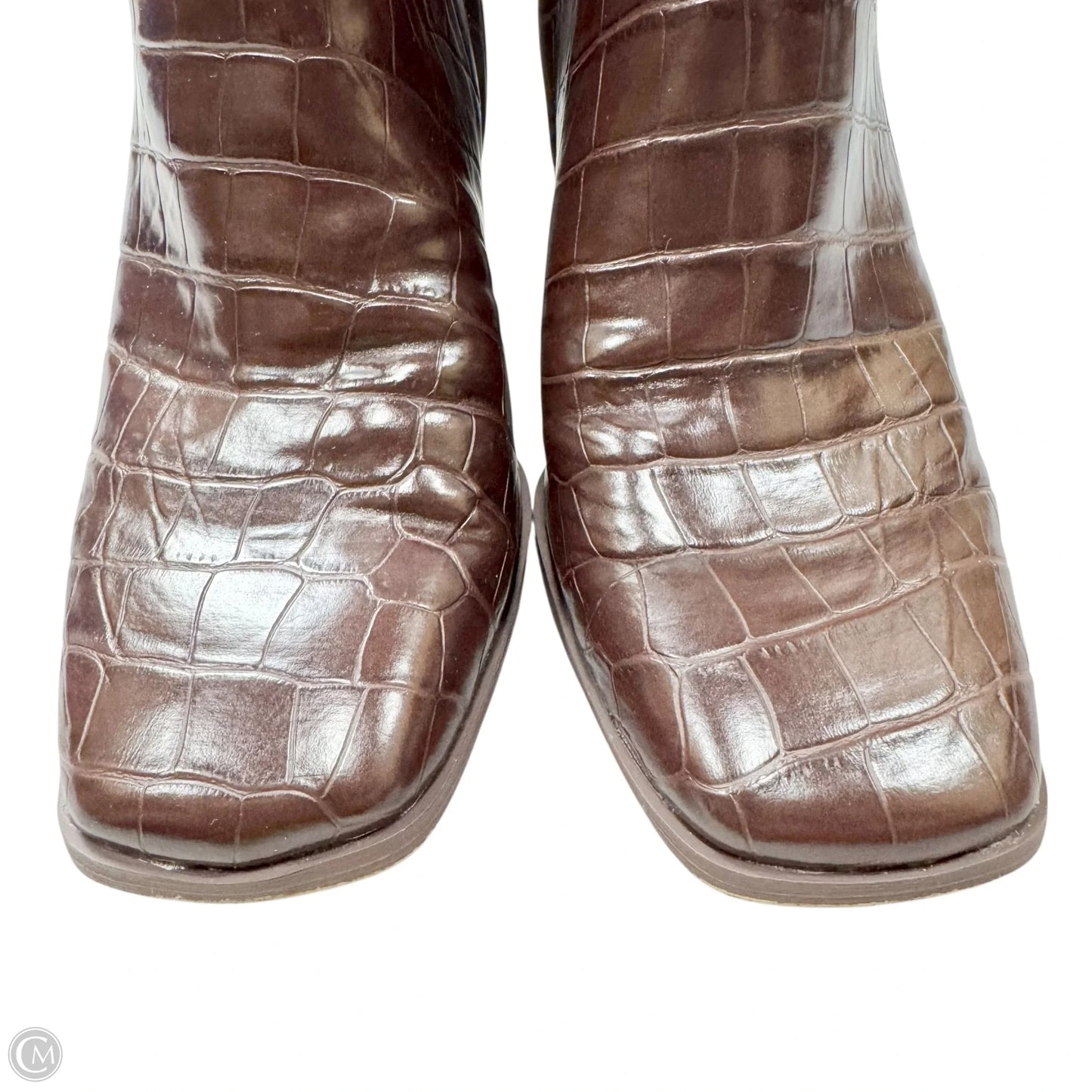 Boots Ankle Heels By Circus By Sam Edelman In Brown, Size: 9.5