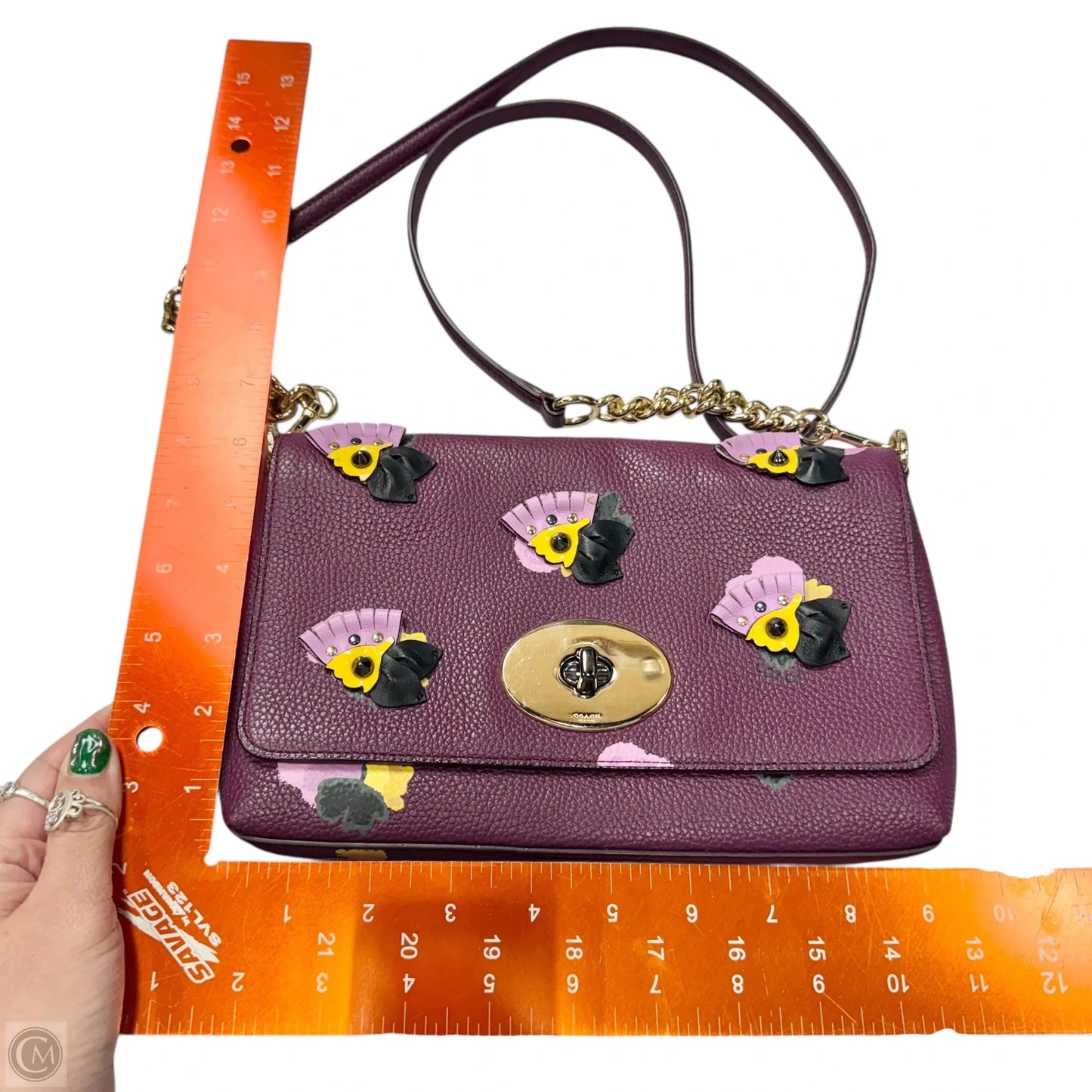 Crossbody Designer By Coach, Size: Small