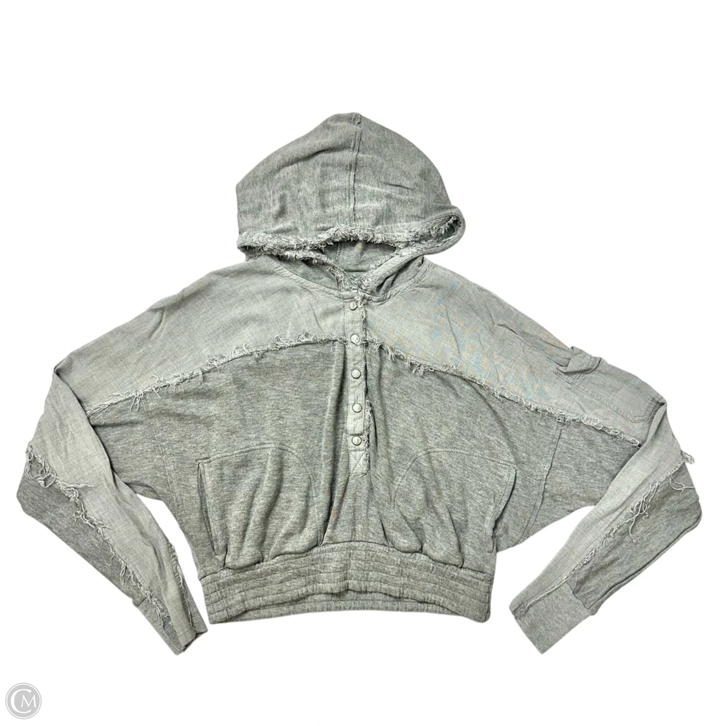 Sweatshirt Hoodie By Free People In Grey, Size: Xs
