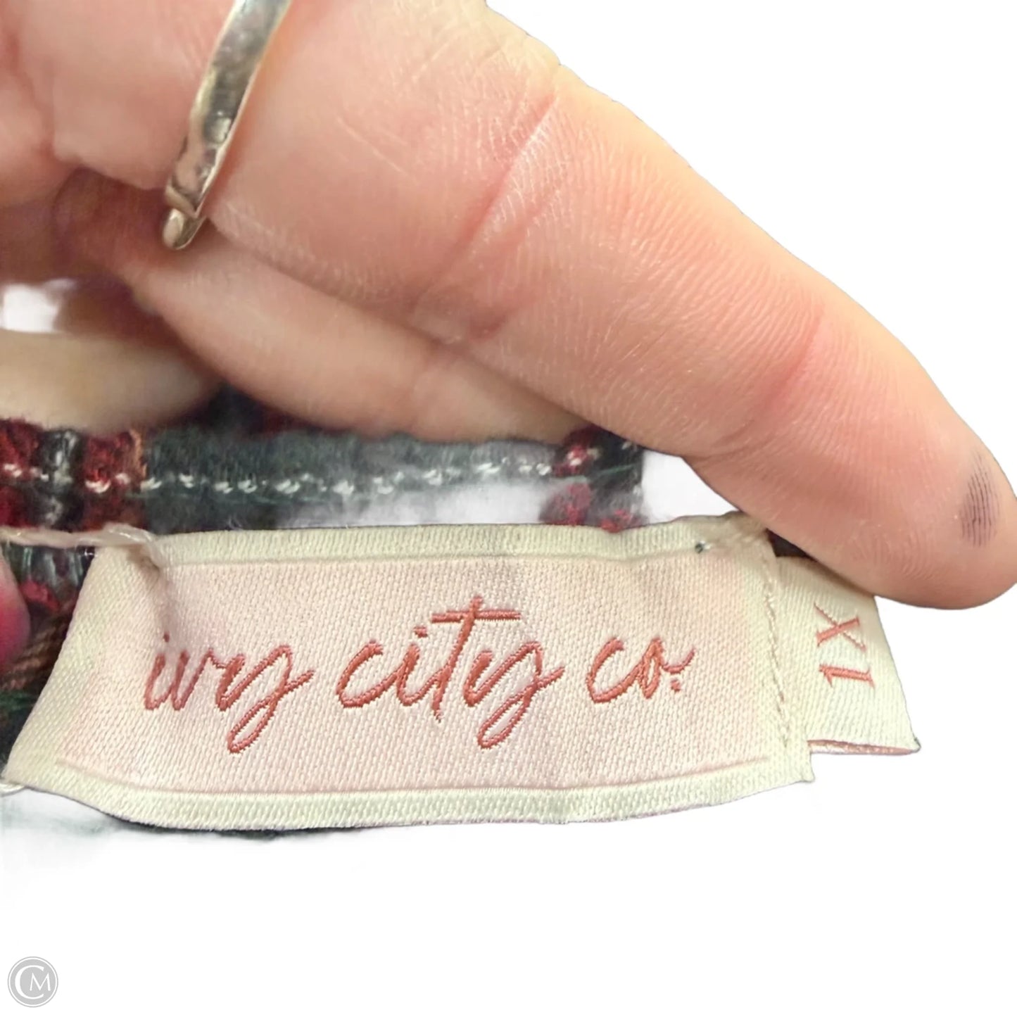 Dress Casual Maxi By Ivy City Co. In Plaid Pattern, Size: 1x