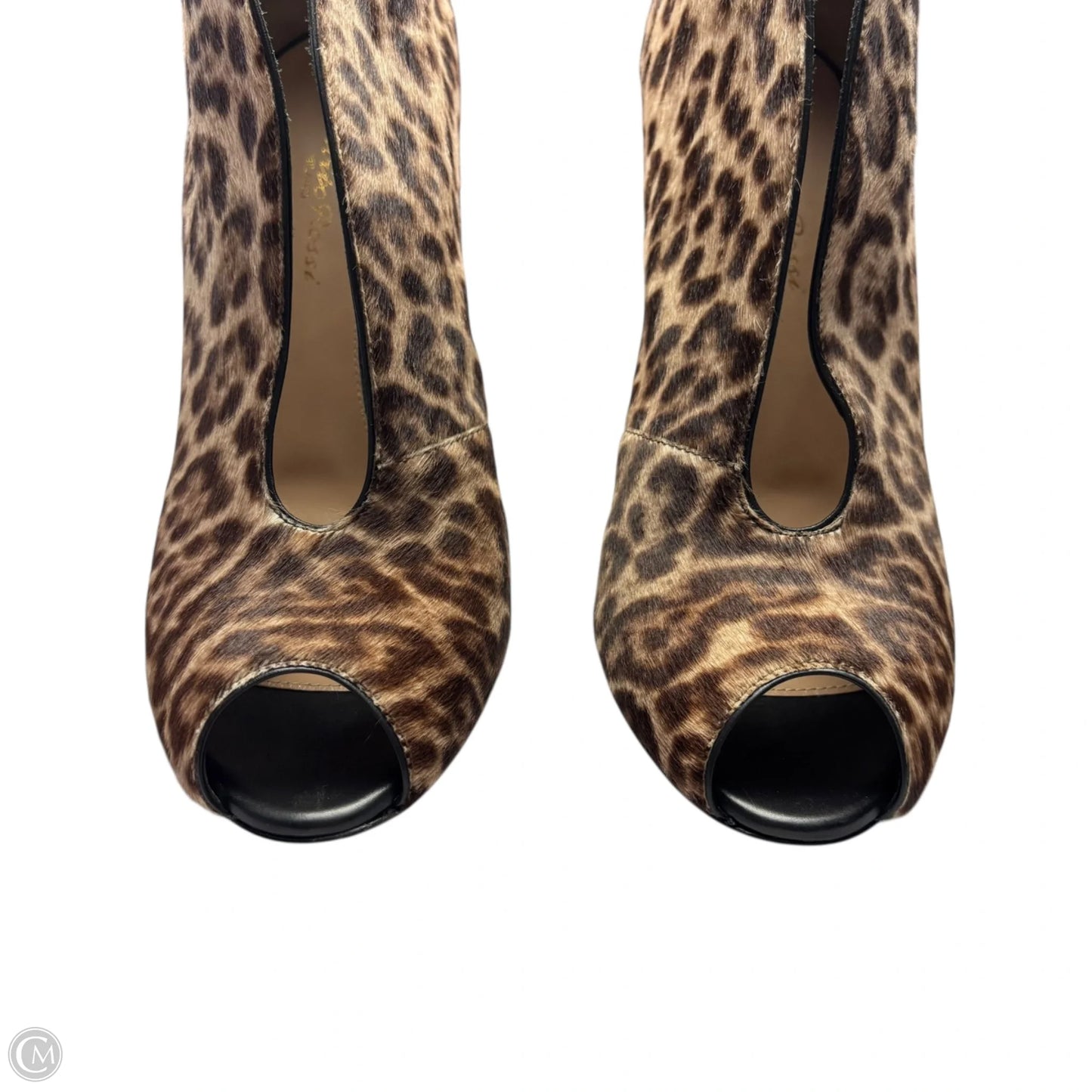 Sandals Heels Stiletto By Gianvito Rossi In Leopard Print, Size: 8