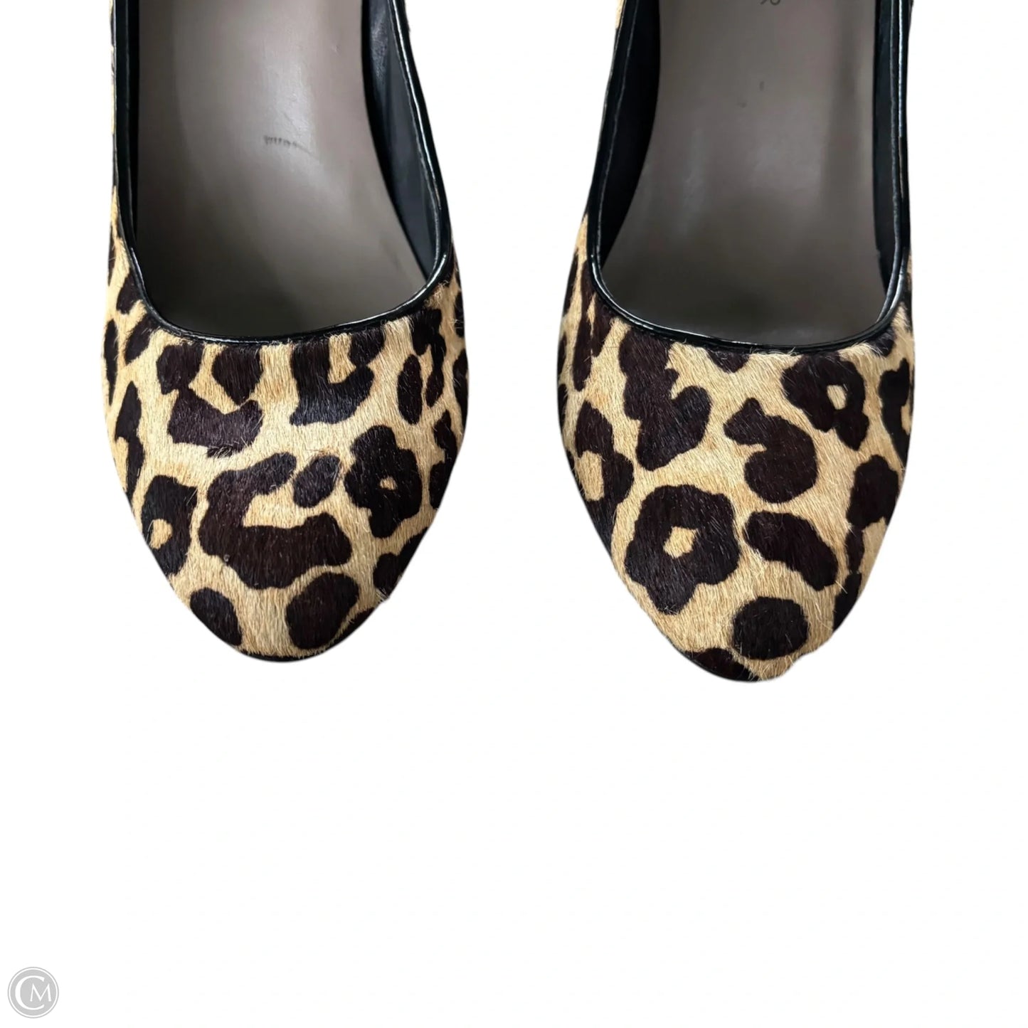 Shoes Heels Block By Donald Pliner In Leopard Print, Size: 7