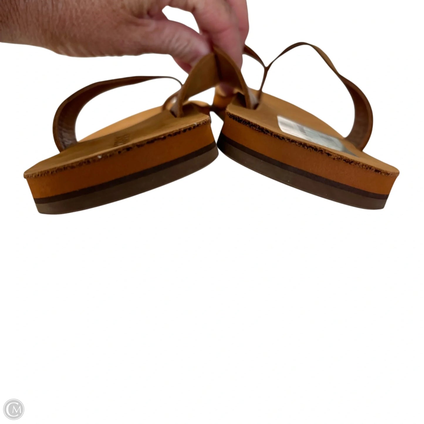 Sandals Flip Flops By Bombas In Brown, Size: 8