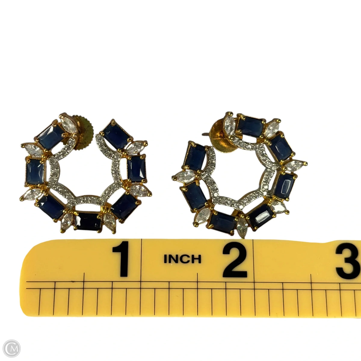Earrings Hoop