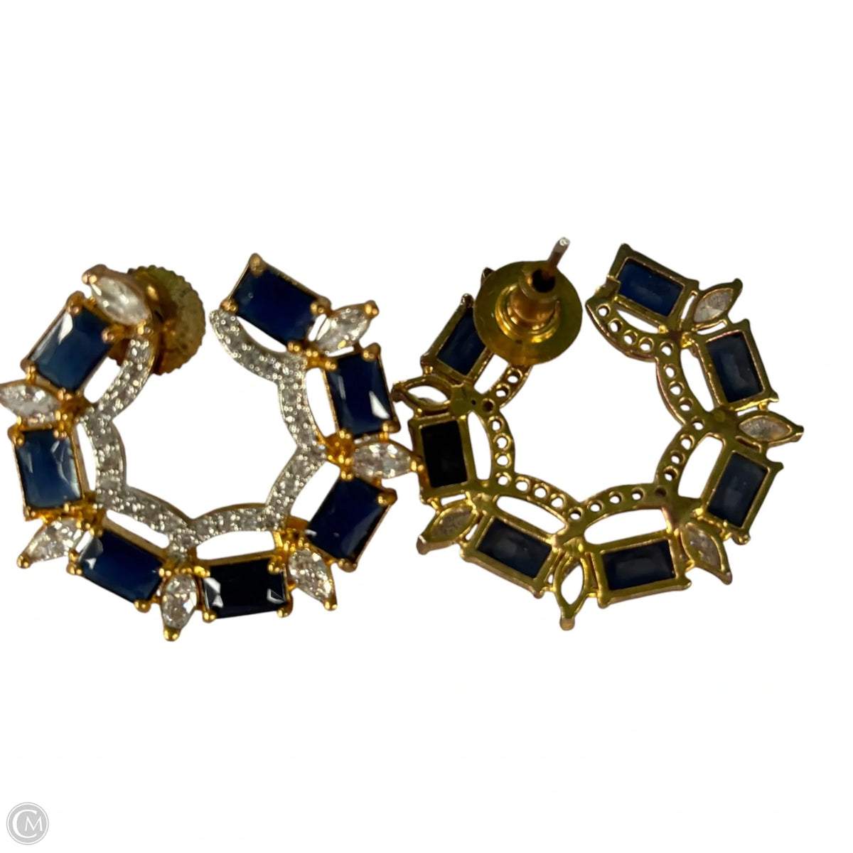 Earrings Hoop
