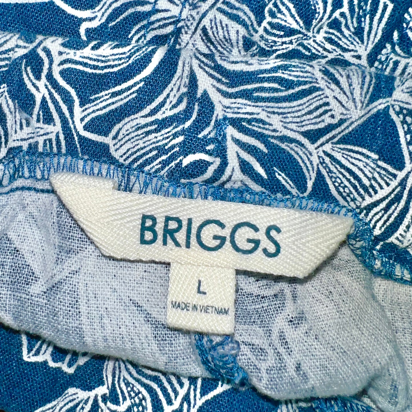 Blue Shorts By Briggs Size: L