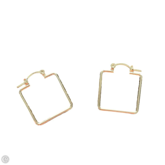 Earrings Hoop