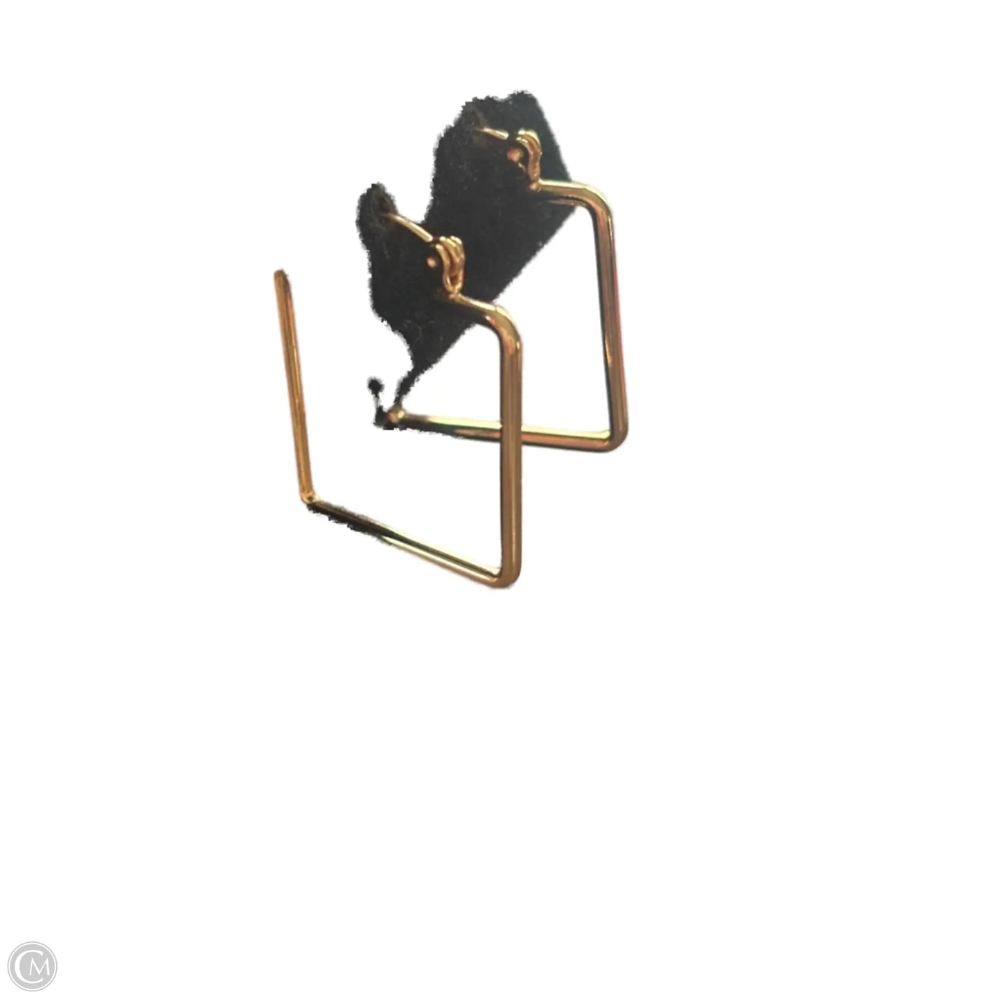 Earrings Hoop