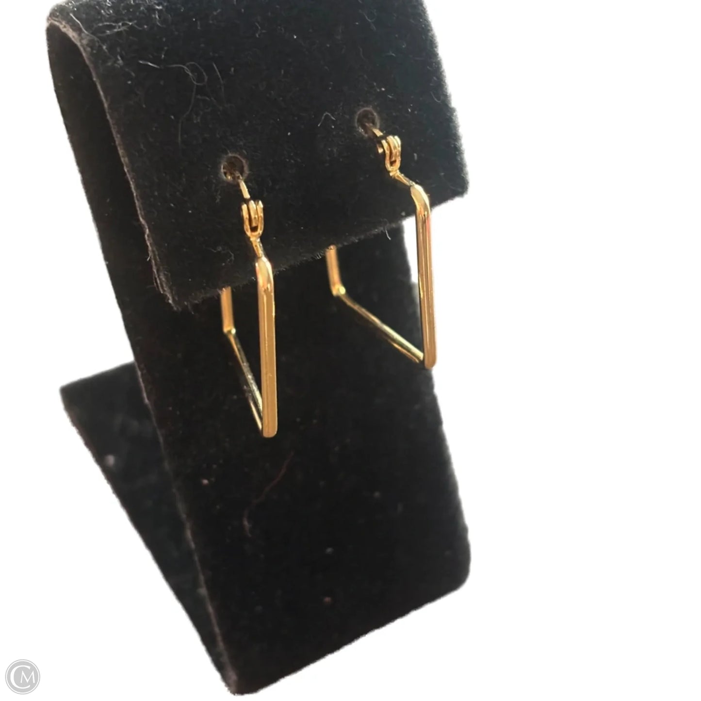 Earrings Hoop