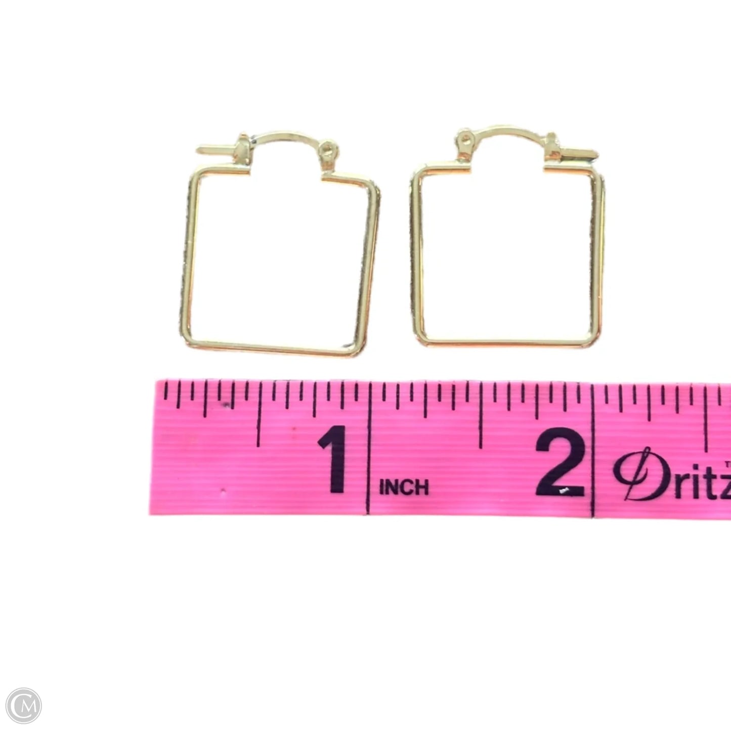 Earrings Hoop