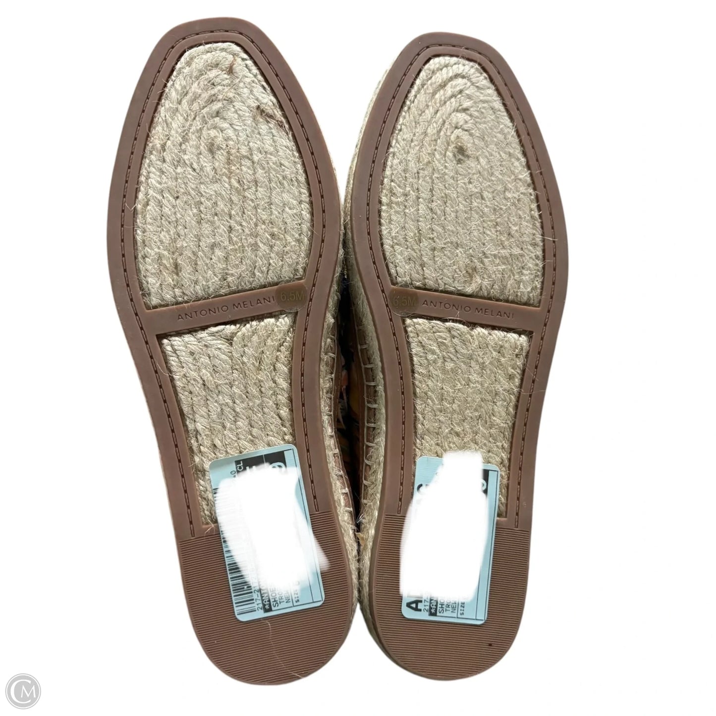 Shoes Flats By Antonio Melani In Tropical Print, Size: 6.5