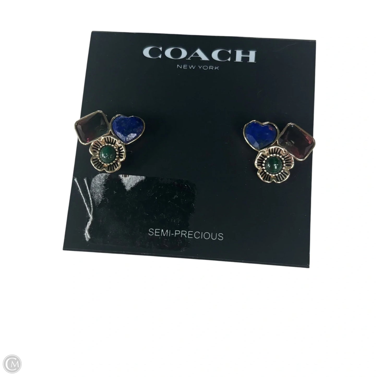 Earrings Designer By Coach
