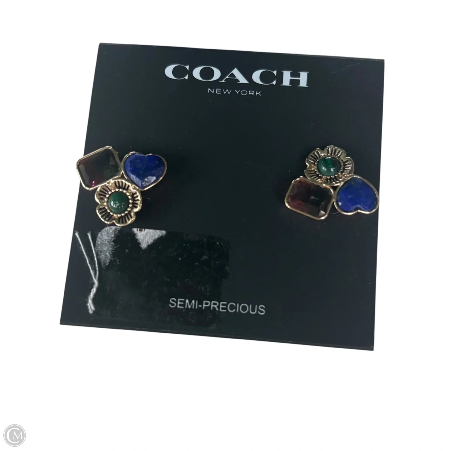 Earrings Designer By Coach