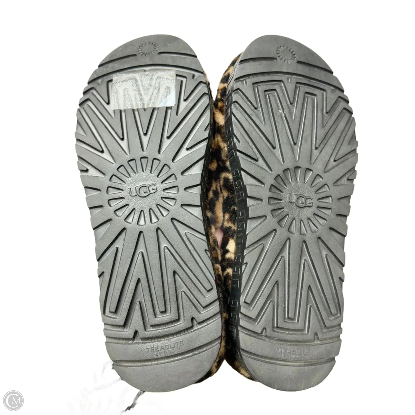 Slippers By Ugg In Animal Print, Size: 12