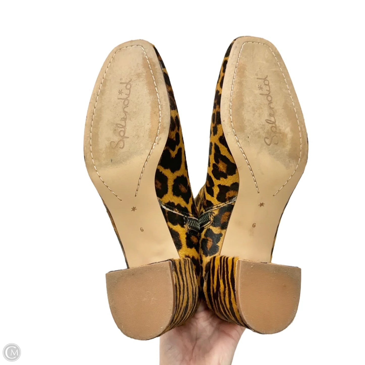 Boots Ankle Heels By Splendid In Animal Print, Size: 9